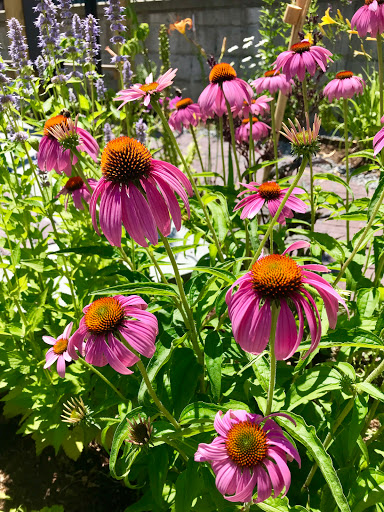 Performing Arts Theater «The Contemporary Theater Company», reviews and photos, 327 Main St, South Kingstown, RI 02879, USA