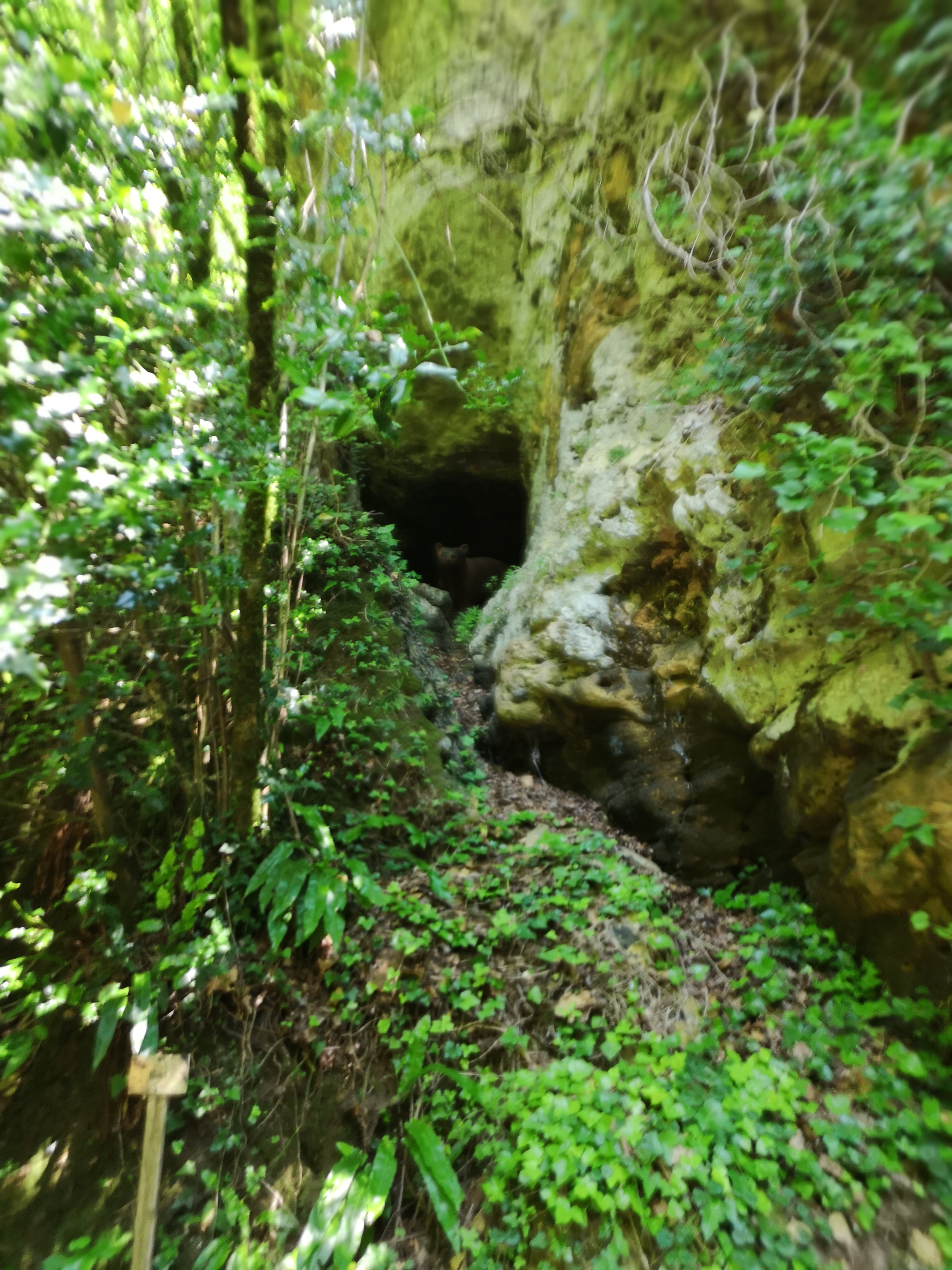 Photo n° 4 de l'avis de the.o fait le 10/07/2018 à 15:19