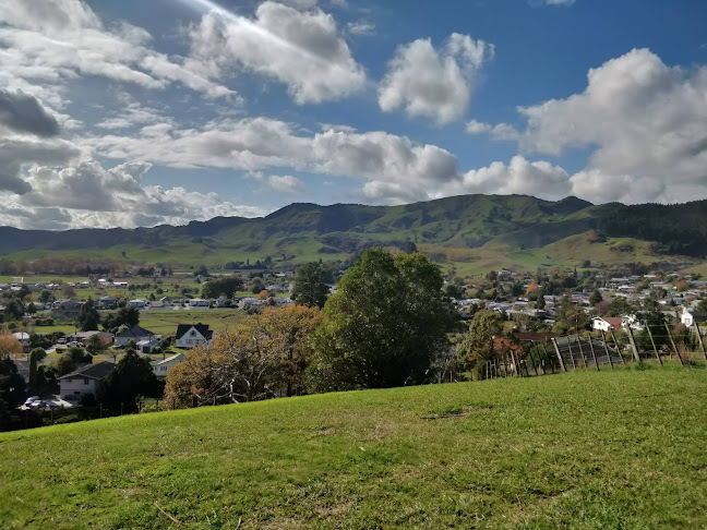 Reviews of Primrose Hill in Paeroa - Other
