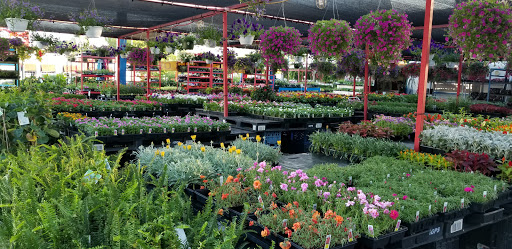 Produce Market «Parkway Produce», reviews and photos, 2601 Preston Hwy, Louisville, KY 40217, USA