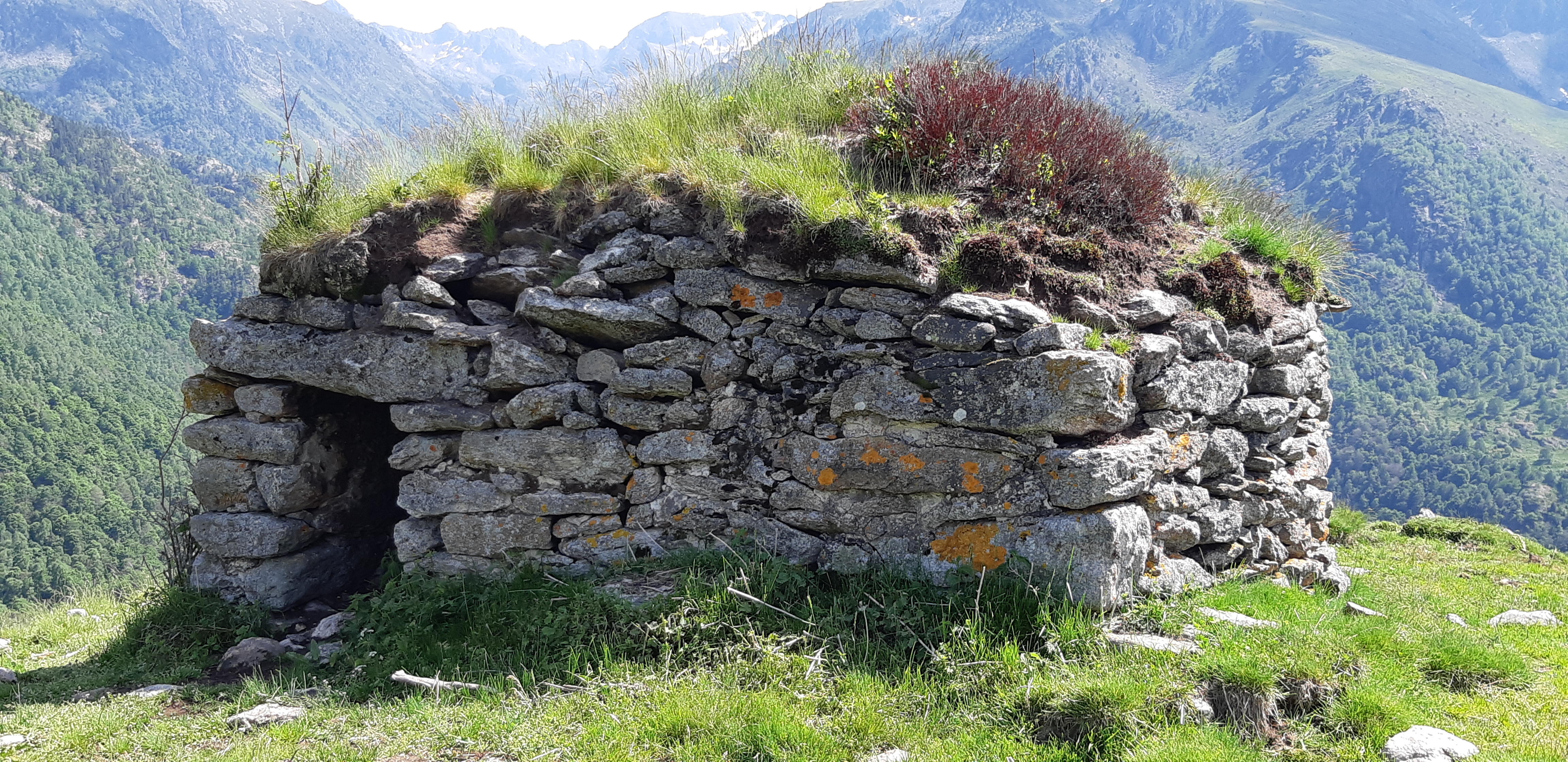 Photo n° 10 de l'avis de Yannick.a fait le 23/06/2019 à 21:16