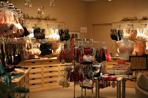 Lingerie Store «Every Body Bras & Intimates», reviews and photos, 313 Towne Dr, Fayetteville, NY 13066, USA