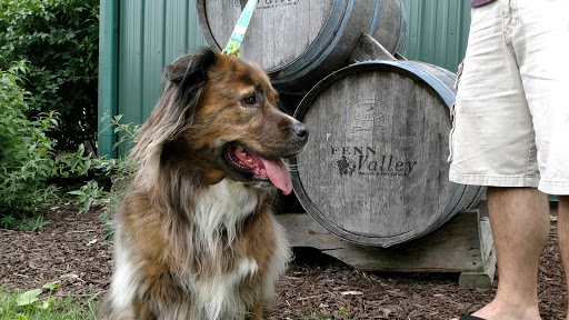 Fenn Valley Vineyards