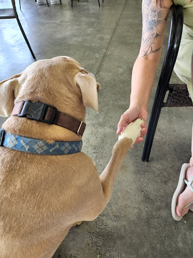 Winery «Wight Vineyards & Winery», reviews and photos, 340 Meyer Dr, Shepherdsville, KY 40165, USA