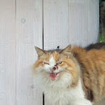 Photo n°24 de l'avis de Giony. fait le 17/01/2020 à 17:44 sur le  3punto0 Aranova à Aranova