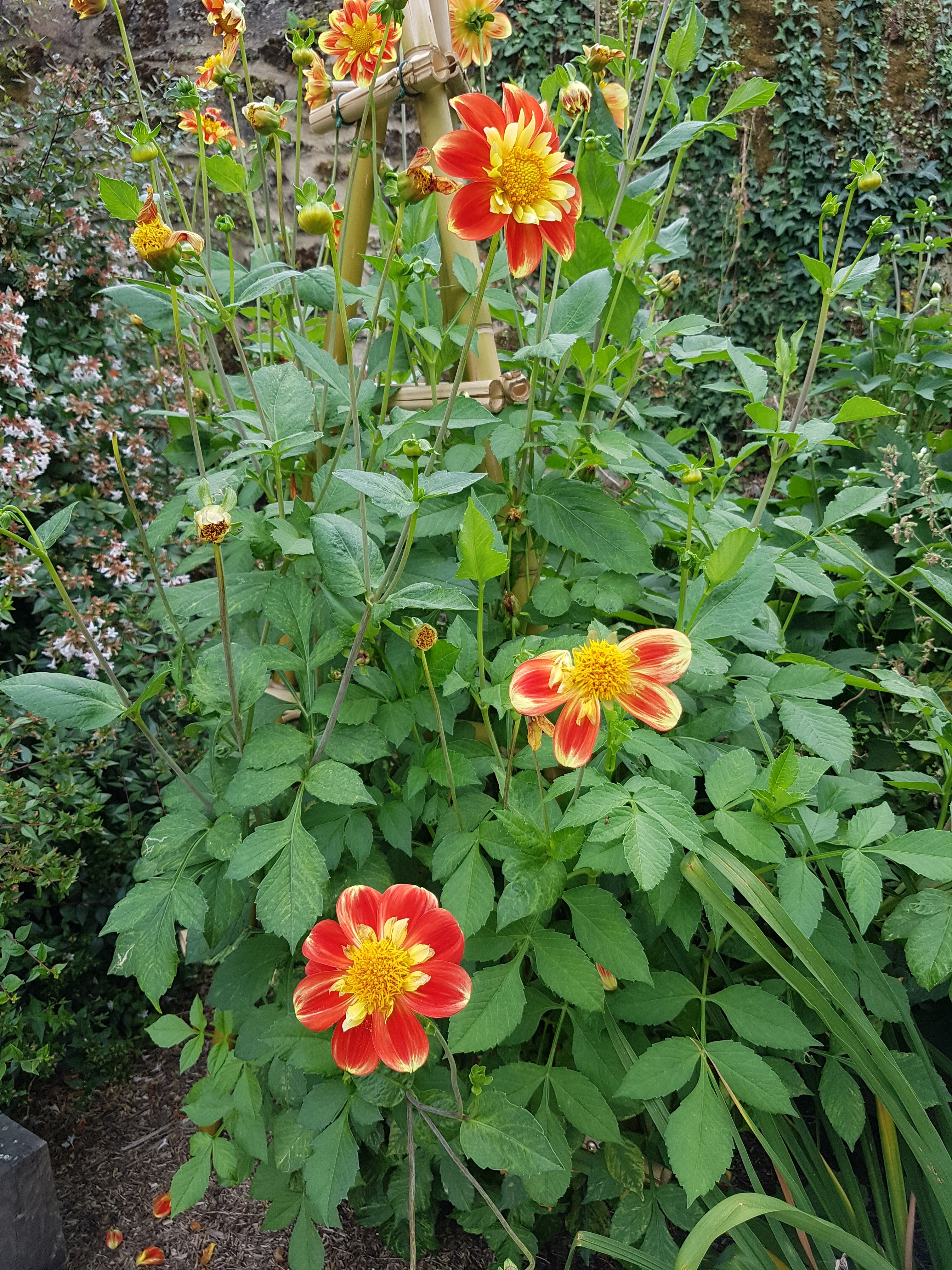 Photo n° 9 de l'avis de Hajer.a fait le 25/07/2020 à 12:52