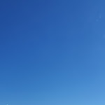 Photo n°2 de l'avis de Marco.o fait le 23/08/2022 à 07:47 sur le  Edy à Pietrasanta