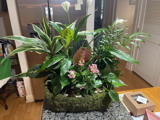 Florist «A Special Rose Florist», reviews and photos, 14546 Bruce B Downs Blvd, Tampa, FL 33613, USA