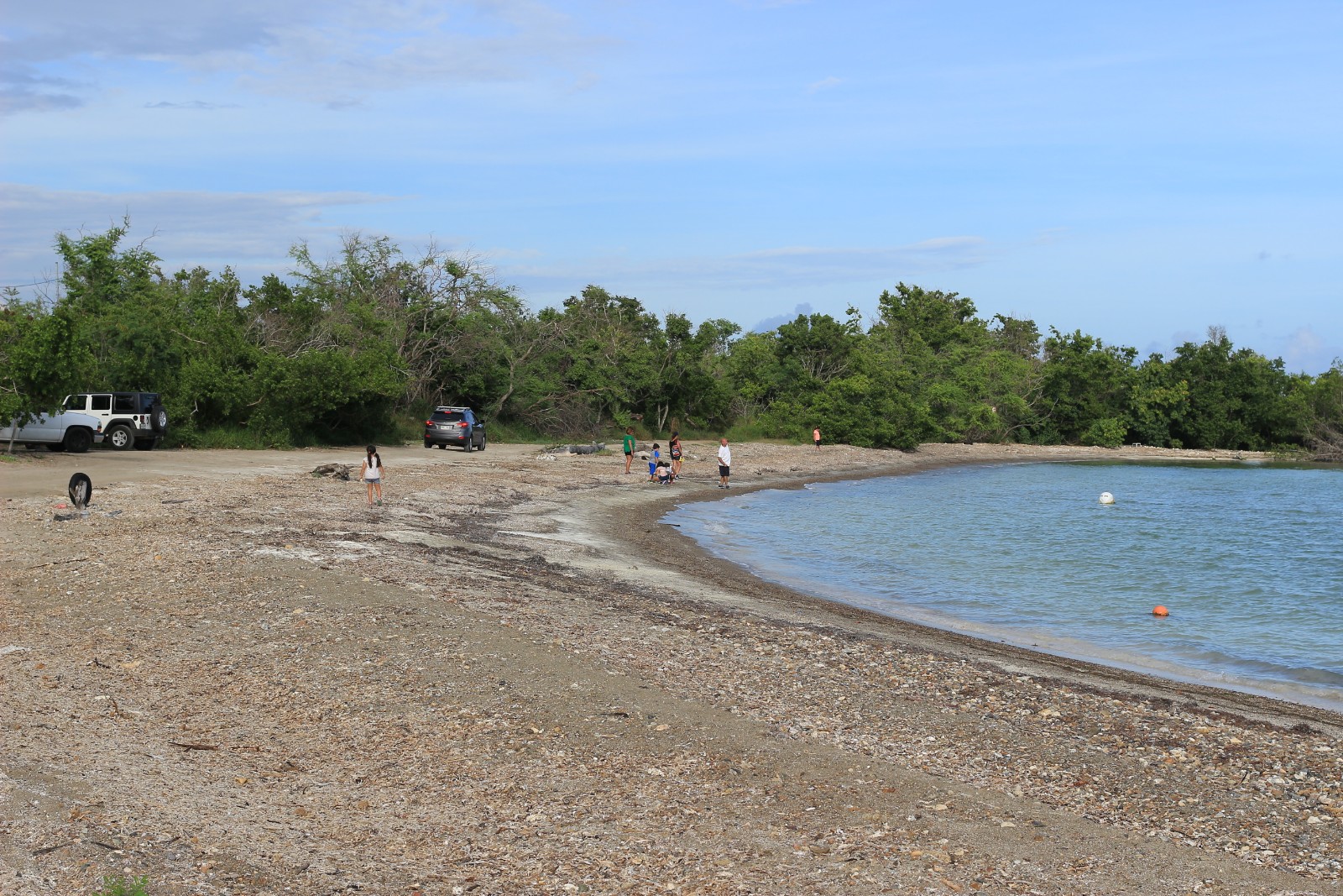 Fotografija Playa Pitahaya z turkizna čista voda površino
