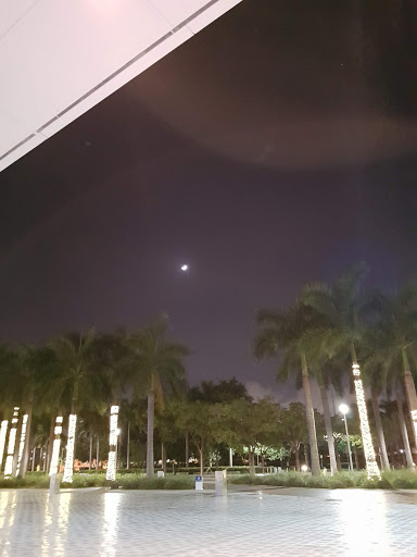 Convenience Store «7-Eleven», reviews and photos, 6348 Collins Ave, Miami Beach, FL 33141, USA