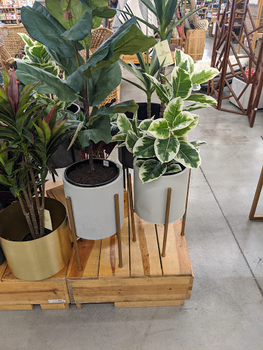 Furniture Store «Cost Plus World Market», reviews and photos, 3934 Bel Aire Plaza, Napa, CA 94558, USA