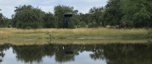 Ox Ranch - photo 81