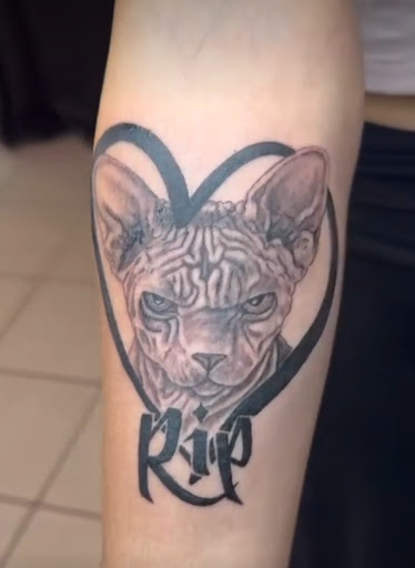 Explore thundercat tattoo ideas, creative tattoo ideas in Brandon, available at Pinup Tattoo Studio