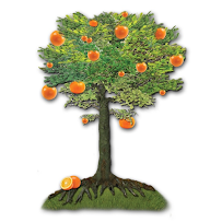 Functional Wellness Minneapolis/Sandra Jones Healing - Photo 3 - Car repair in Minneapolis, MN, Minneapolis