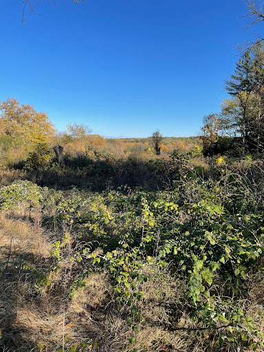 Ice Age Trail