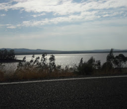 Trinidad Garden photo