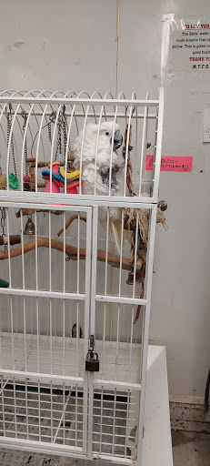 Tropical Fish Store «Midway Tropical Fish & Pets», reviews and photos, 24101 Pacific Hwy S, Kent, WA 98032, USA