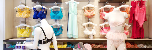 Lingerie Store «Journelle», reviews and photos, 1725 N Damen Ave, Chicago, IL 60647, USA