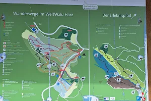 Weltwald Bad Grund image