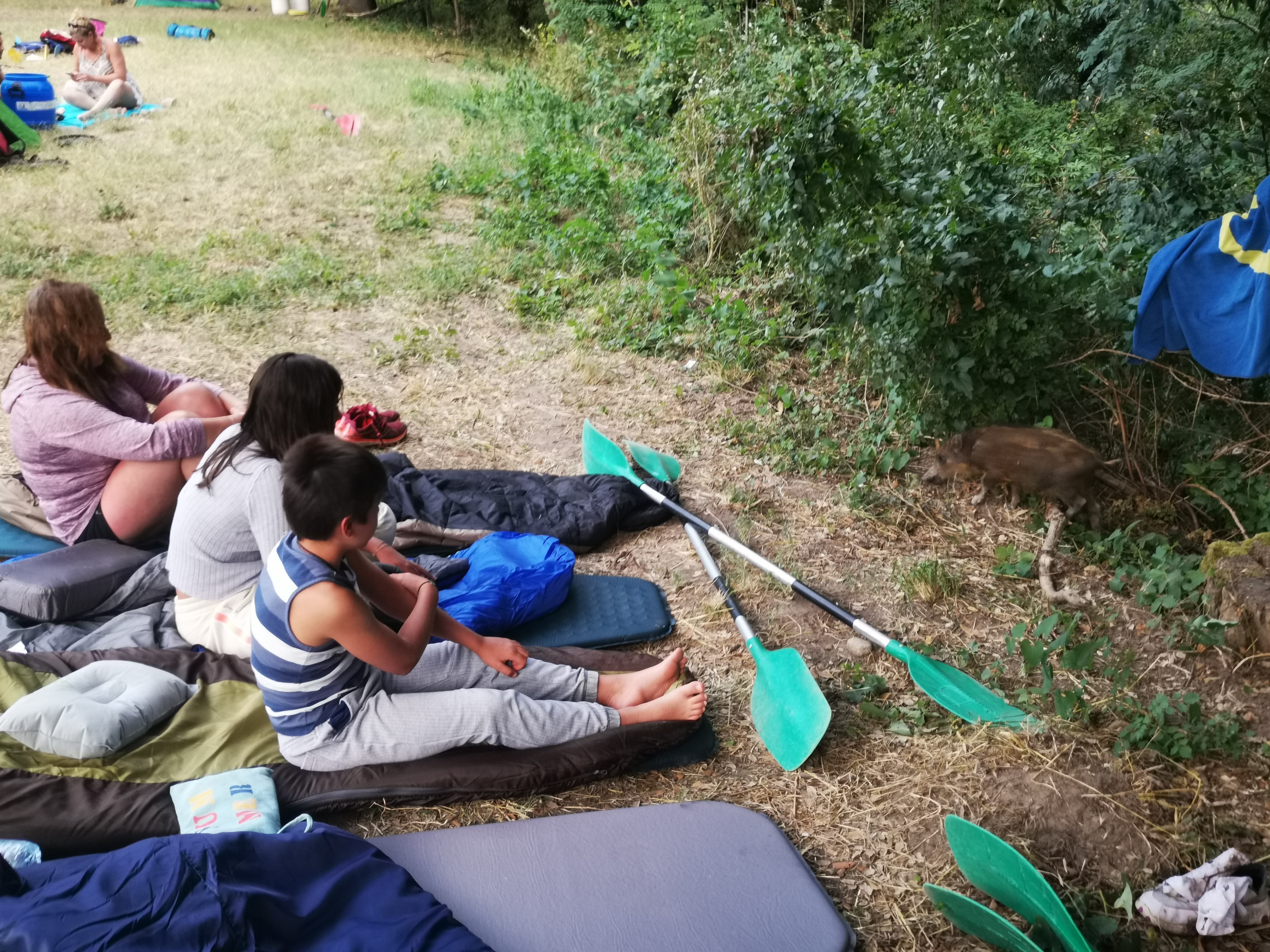 Photo n° 5 de l'avis de Estelle.l fait le 25/07/2020 à 21:19
