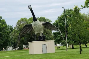 Maxie, the World's Largest Goose image