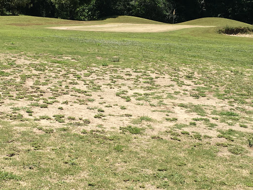 Golf Club «Olde Oaks Golf Club», reviews and photos, 60 Golf Club Dr, Haughton, LA 71037, USA