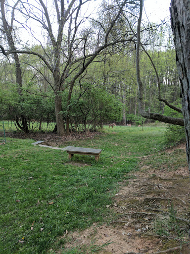 Nature Preserve «Woodend Sanctuary», reviews and photos, 8940 Jones Mill Rd, Chevy Chase, MD 20815, USA