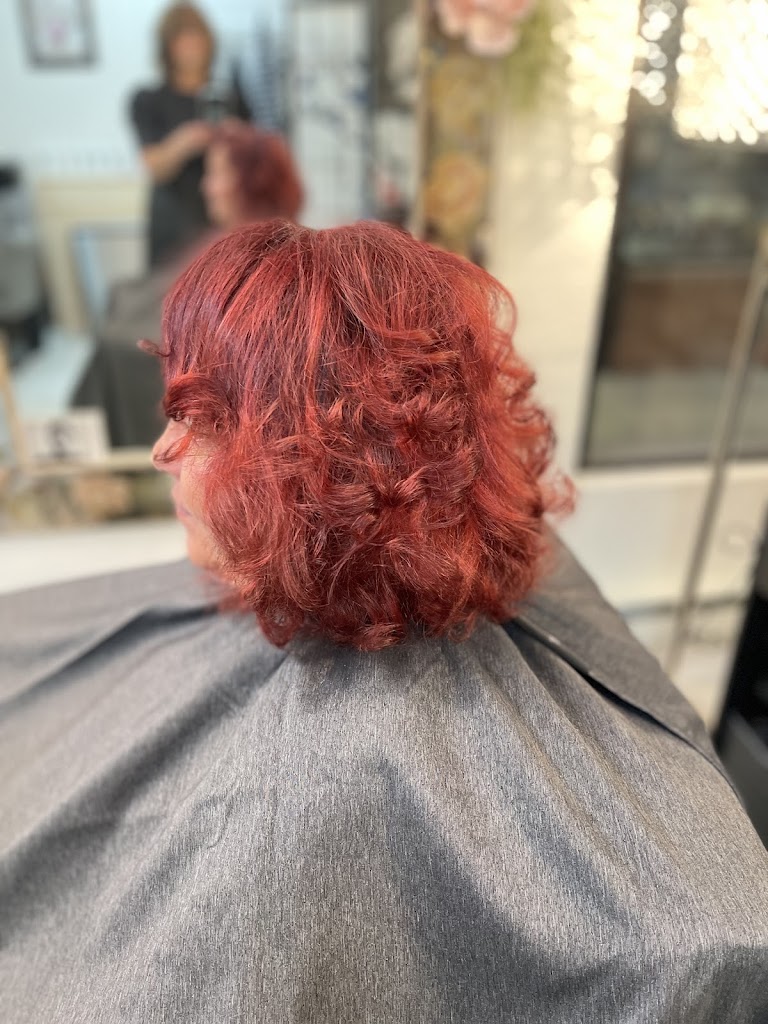 Diane Gioia Salon 12540