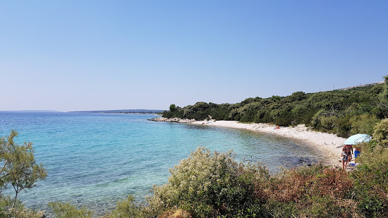 Stork beach