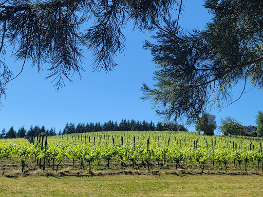 Winery «Apolloni Vineyards», reviews and photos, 14135 NW Timmerman Rd, Forest Grove, OR 97116, USA