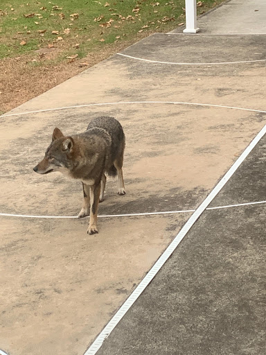 Appliance Store «P.C. Richard & Son», reviews and photos, 19 Universal Dr, North Haven, CT 06473, USA