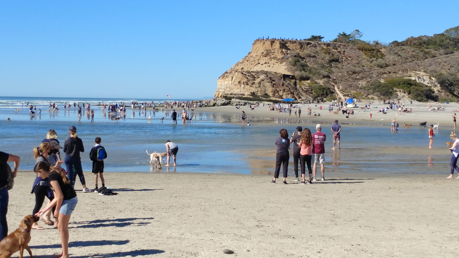 Fotografie cu Del Mar Dog beach înconjurat de munți