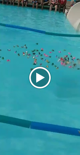 Water Park «Turtle Splash Water Park», reviews and photos, 129 W National St, West Chicago, IL 60185, USA