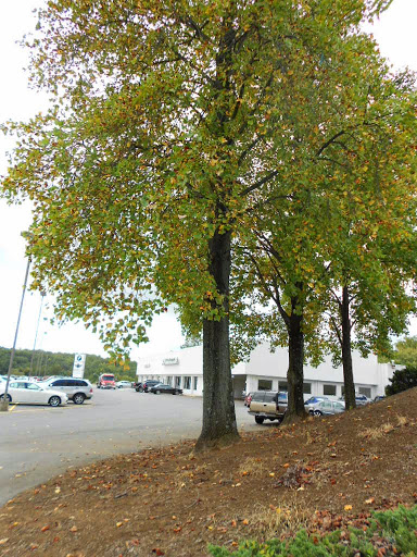 BMW Dealer «BMW of Annapolis», reviews and photos, 31 Old Mill Bottom Rd, Annapolis, MD 21409, USA