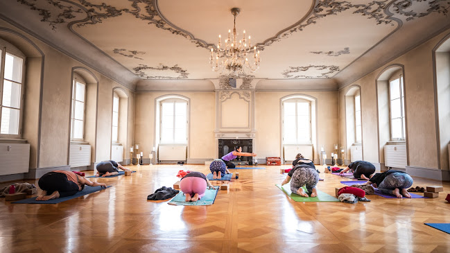 LIV lab Yoga - Emmen