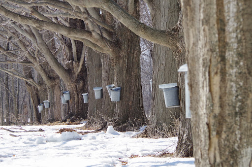 Mortgage Broker «Goldcoast Mortgage Service, Inc», reviews and photos