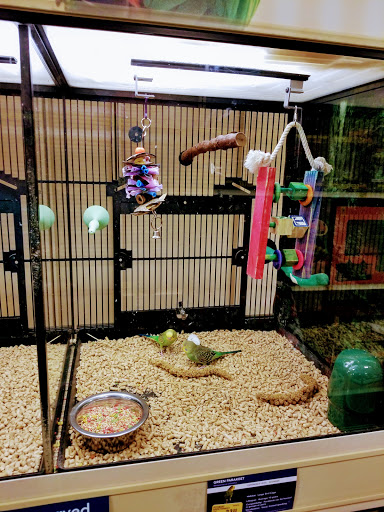 Pet Supply Store «PetSmart», reviews and photos, 1700 Norman Dr #200, Valdosta, GA 31601, USA