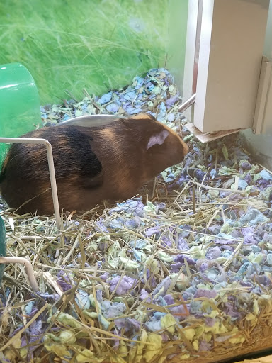 Pet Supply Store «PetSmart», reviews and photos, 8331 La Palma Ave, Buena Park, CA 90620, USA