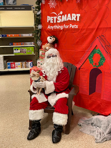 Pet Supply Store «PetSmart», reviews and photos, 1130 SE Everett Mall Way, Everett, WA 98208, USA