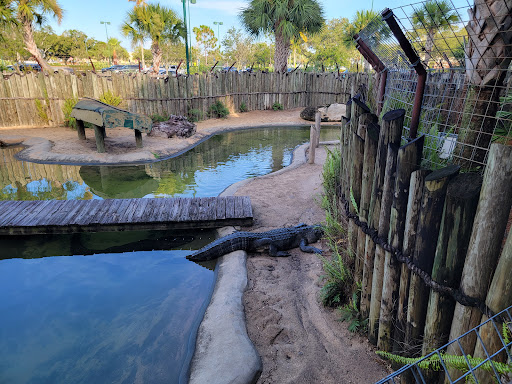 Sporting Goods Store «Bass Pro Shops», reviews and photos, 750 Bass Pro Dr NE, Palm Bay, FL 32905, USA