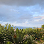 Photo n°9 de l'avis de Dennis.a fait le 04/08/2023 à 19:10 sur le  Hotel Terme Providence à Forio