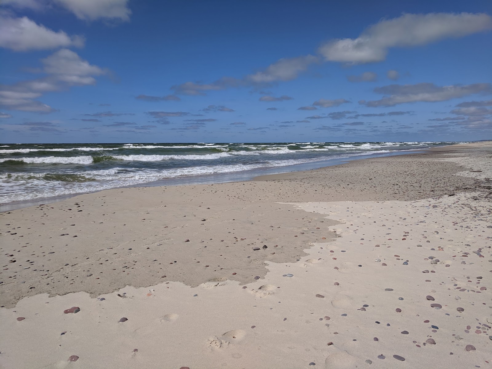 Photo of Pervalka Beach wild area