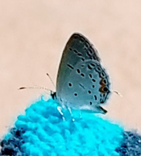 Community Center «NienhuisPark Community Center», reviews and photos, 3201 N 9th St, Broken Arrow, OK 74012, USA