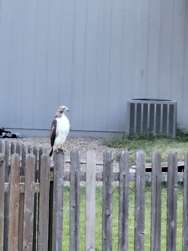 Plumber «Morgan Miller Plumbing», reviews and photos, 13911 Norby Rd, Grandview, MO 64030, USA