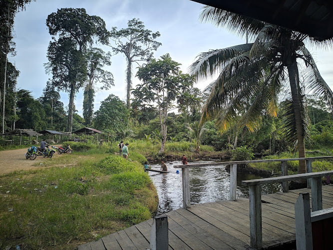 Pemandian Air Panas di Kalimantan Timur: Menikmati Keajaiban Alam dengan Menyelami   Lokasi-lokasi yang Mengagumkan