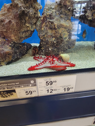 Pet Supply Store «Petco Animal Supplies», reviews and photos, 8735 Memorial Blvd, Port Arthur, TX 77640, USA