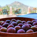 Photo n°3 de l'avis de Francesco.e fait le 10/07/2021 à 13:58 sur le  CASALE MARGHERITA turismo rurale à Pollina