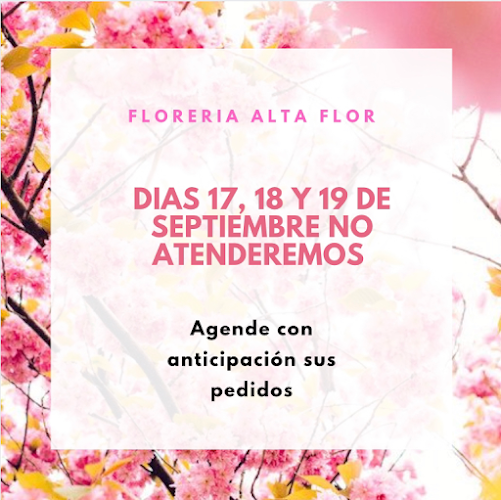 Comentarios y opiniones de Florería Alta Flor