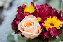 Crys Vazquez Photography - Photo 7 - Car repair in , Pembroke Pines