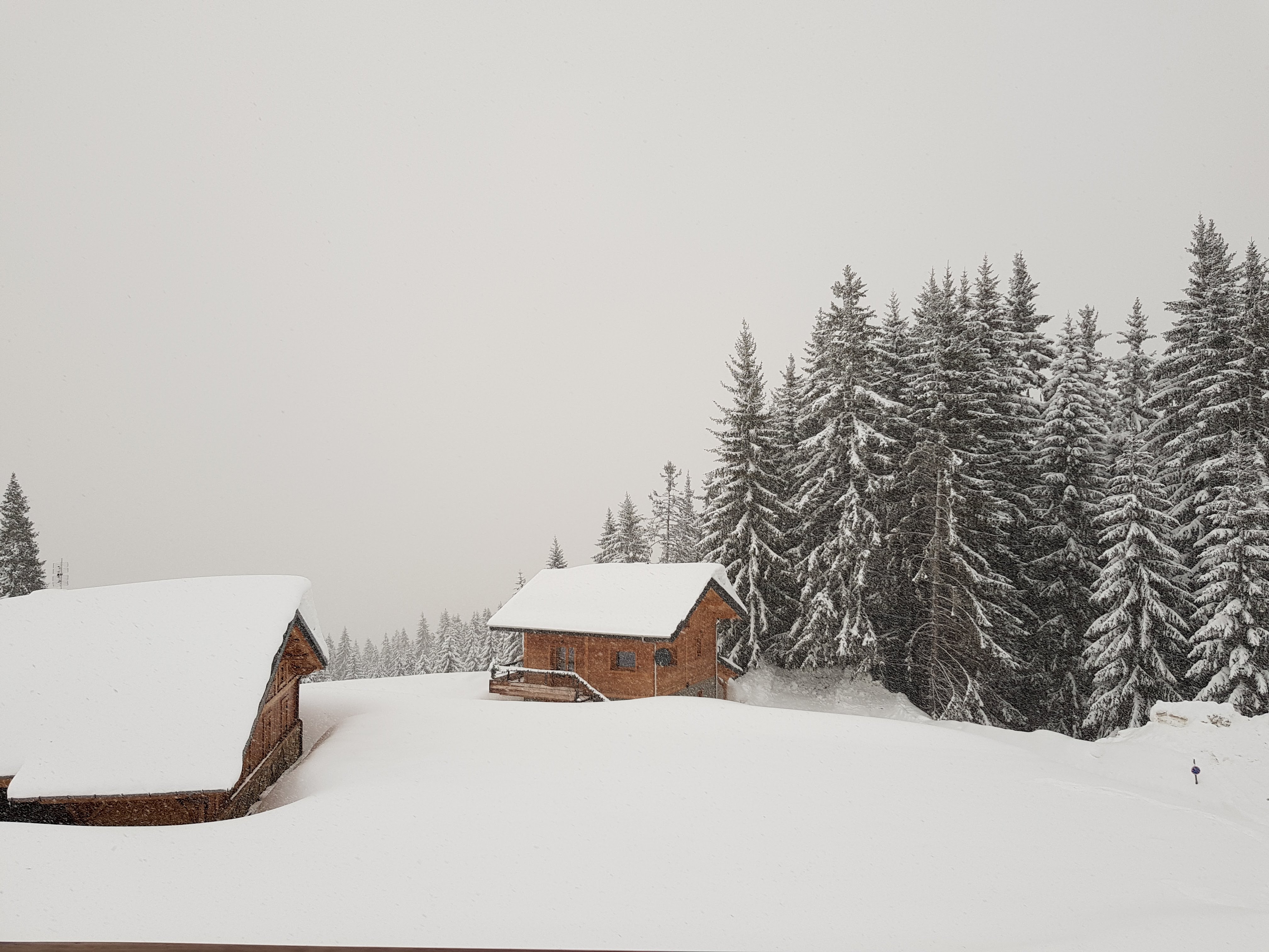 Photo n° 1 de l'avis de Charlie. fait le 13/03/2018 à 18:04